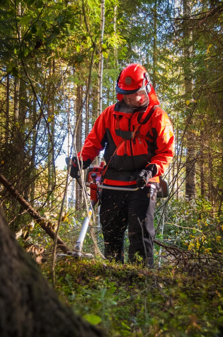 Stock photograph of a forestry worker in protective equipment clearing underbrush with a brush cutter